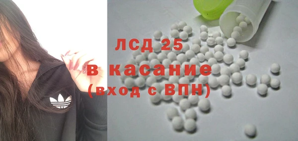 ПСИЛОЦИБИНОВЫЕ ГРИБЫ Арсеньев
