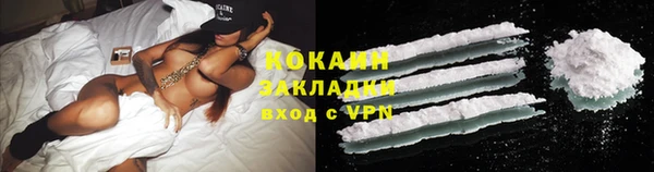 ПСИЛОЦИБИНОВЫЕ ГРИБЫ Арсеньев