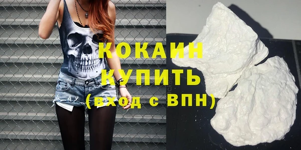 ПСИЛОЦИБИНОВЫЕ ГРИБЫ Арсеньев