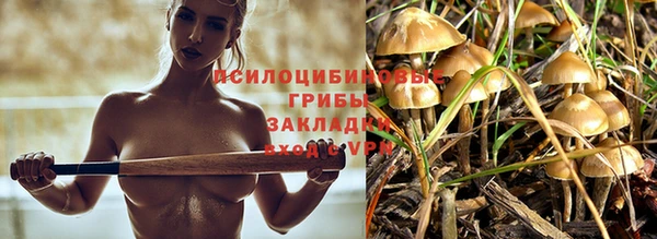 ПСИЛОЦИБИНОВЫЕ ГРИБЫ Арсеньев