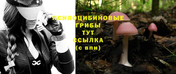 ПСИЛОЦИБИНОВЫЕ ГРИБЫ Арсеньев