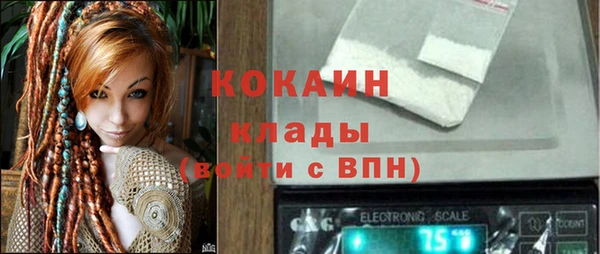 крисы Армянск