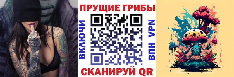 Псилоцибиновые грибы GOLDEN TEACHER Саяногорск